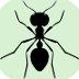 Ant Guide