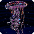 Beaded Jellyfish Live Wallpaper