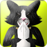 淘气的黑猫