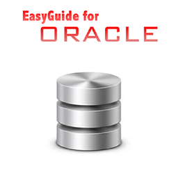 Easy Guide for Oracle [Free]