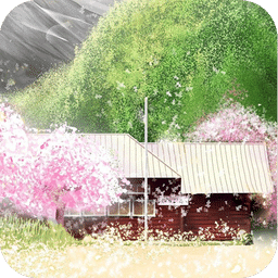 樱花飘落时-秀动态壁纸