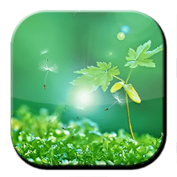 绿色奇迹动态壁纸