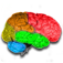 IQ Tests