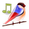 Birds Sounds Relax and Sleep