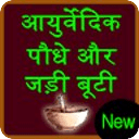 ayurvedic plants and herbs