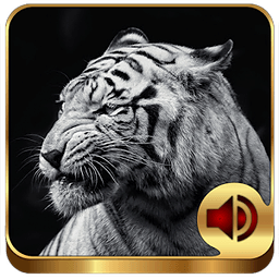 Animal Ringtones 200