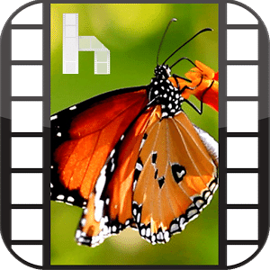 Butterfly Free Homescreen