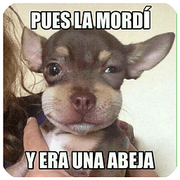 Imagenes wow
