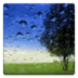 Relaxing Sounds of Rain