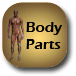 Word and  Body part maching 