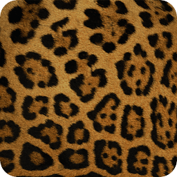 Panther Theme GO Launcher EX