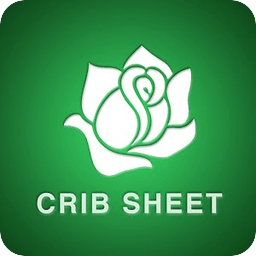 Delta Zeta Crib Sheet