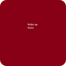 VOICE WAKE UP ALARM