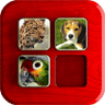 Puzzle Box: Animals