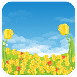 Dutch Tulips Live Wallpaper