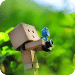 Danbo Backgrounds