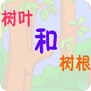 树叶和树根