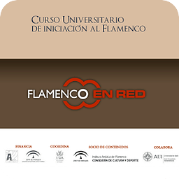 Flamenco en Red