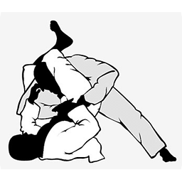 Brazilian Jiu Jitsu