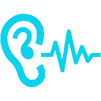 Ear Diagnostic