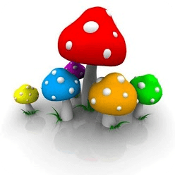 3D Mushrooms Live Wallpaper