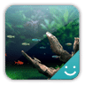 NATURE AQUARIUM Theme