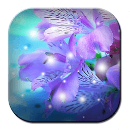 Gentle Orchid WP Live