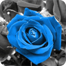 3D Roses Wallpaper