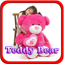 Teddy Bear