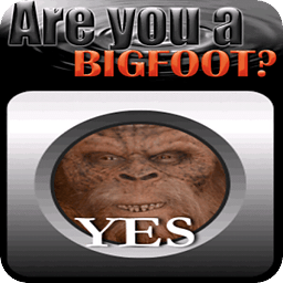 Are You a Bigfoot? Detec...