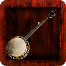 Virtual Banjo - Bluegras...