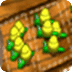 蜗牛棋
