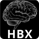 HBX Binaural Player BETA