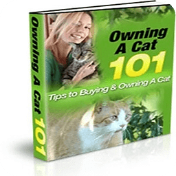 Owning A Cat 101 Guide