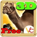 3D camel racing