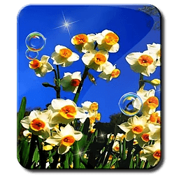 Spring Moves Bubble HD L...