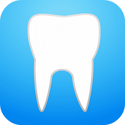 Anatomy of the Mouth