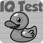 IQ Test New