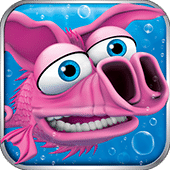 猪脸鱼 PigFish