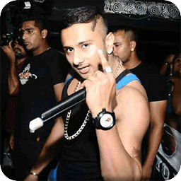 YoYo Honey Singh Hit Rin...