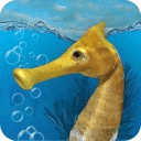 Seahorse 3D