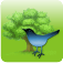 Bird Sounds &amp; Ringtones