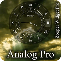 Analog Pro