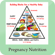 Pregnancy Nutrition