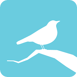 Animated Birds Free