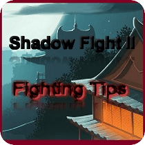 Fighting Tips 4 Shadow 2