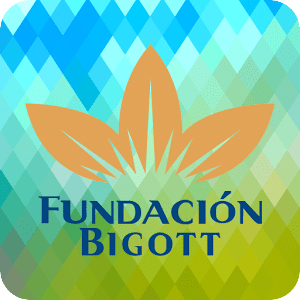 Calendario Fundación Bigott