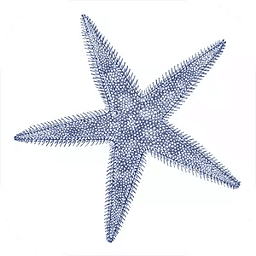 Starfish