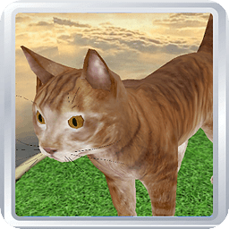 Cat Pet 3D