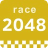 Race 2048